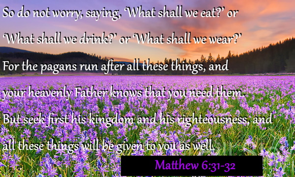 SHOW_BIBLE_VERSE