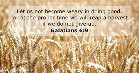 SHOW_BIBLE_VERSE