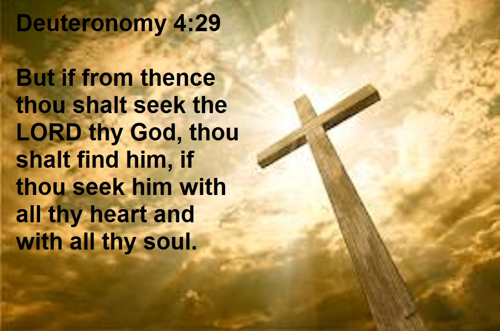 SHOW_BIBLE_VERSE