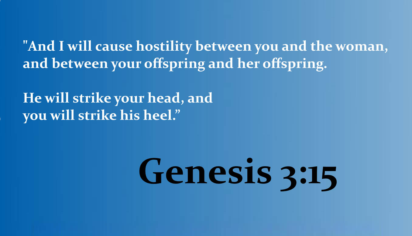 SHOW_BIBLE_VERSE