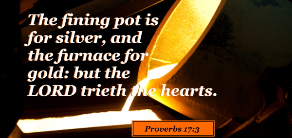 SHOW_BIBLE_VERSE