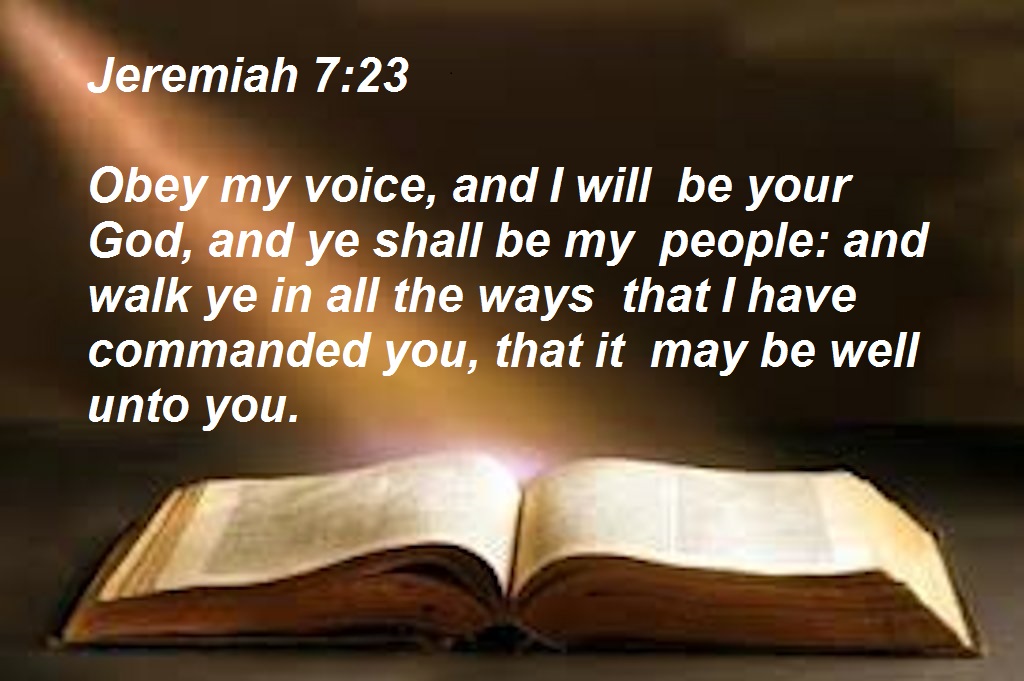 SHOW_BIBLE_VERSE