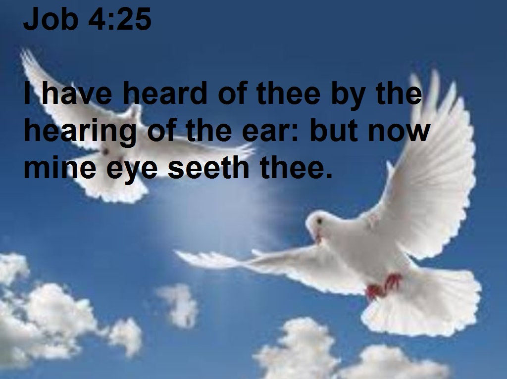 SHOW_BIBLE_VERSE