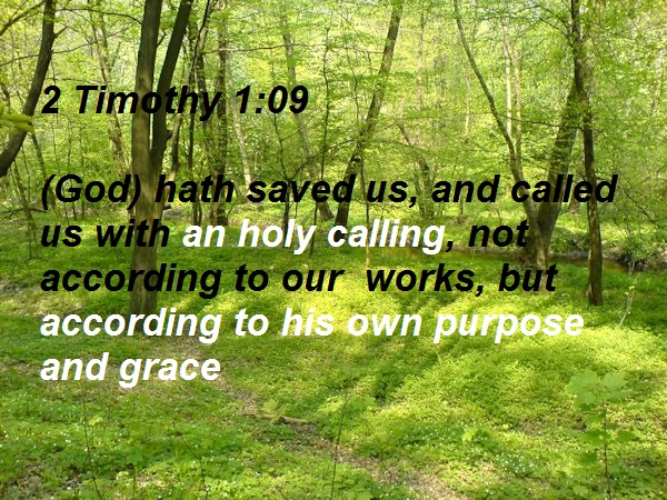 SHOW_BIBLE_VERSE