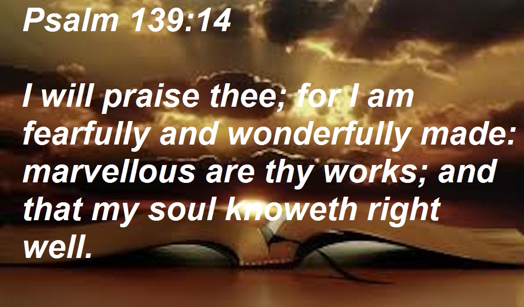 SHOW_BIBLE_VERSE