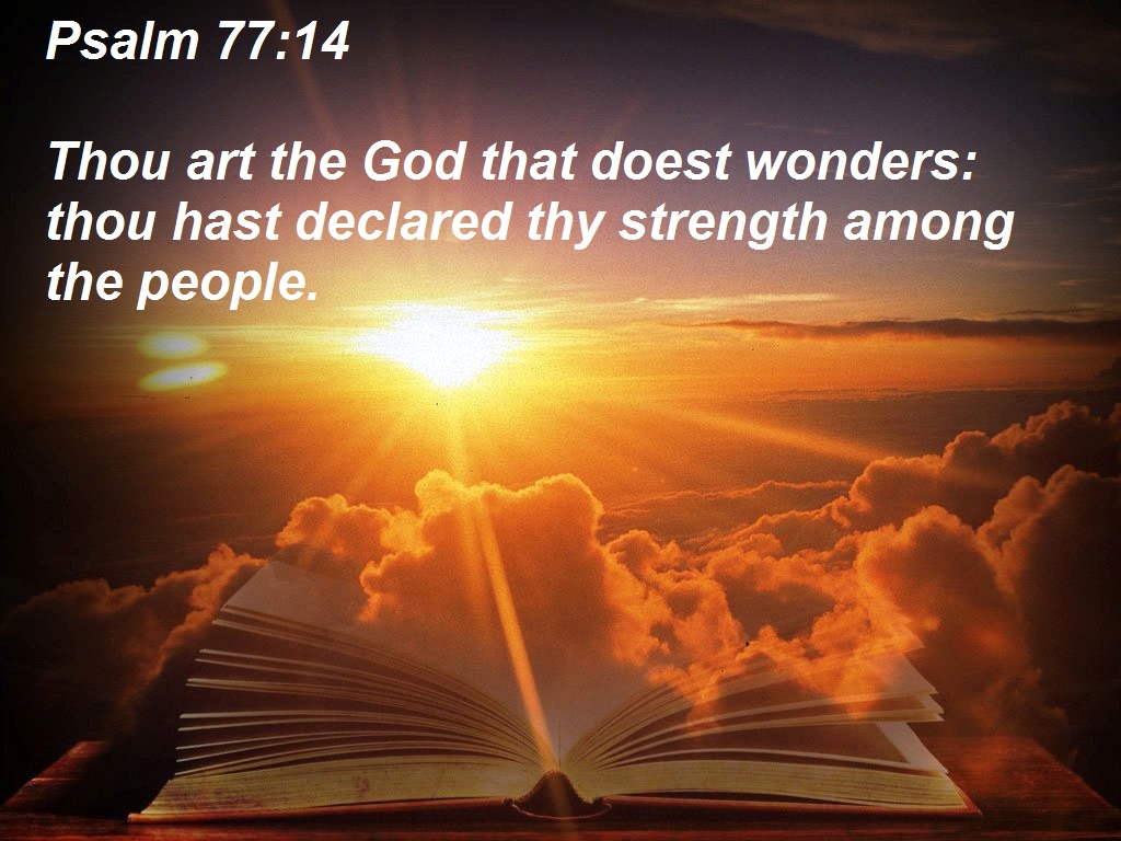 SHOW_BIBLE_VERSE